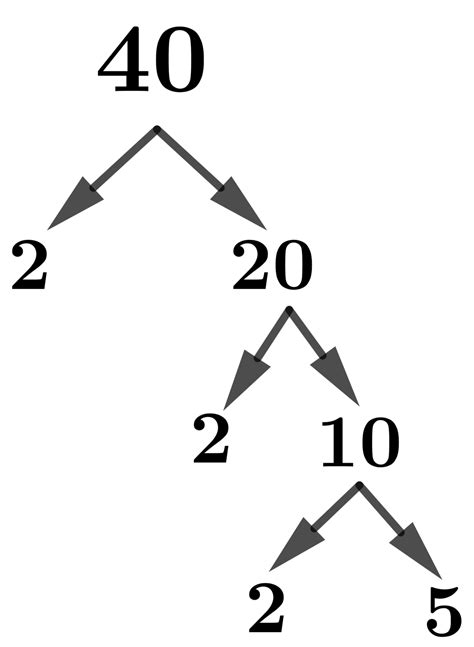   40|Factors of 40 